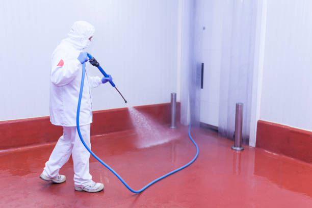Best Roof Washing  in Lonaconing, MD