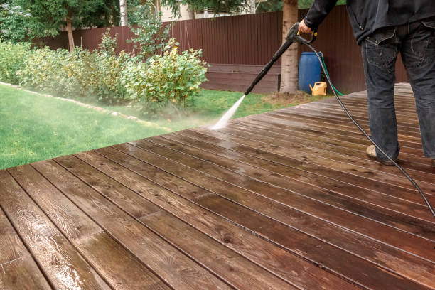 Best House Exterior Washing  in Lonaconing, MD