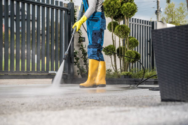 Best Building Exterior Washing  in Lonaconing, MD