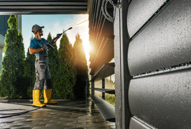 Best Graffiti Removal  in Lonaconing, MD